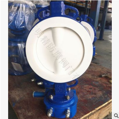 D371F4對夾襯氟蝶閥 四氟閥門廠家 噴塑