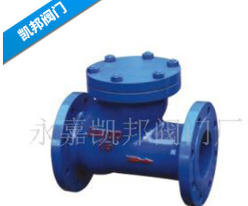 廠家直銷 滾球式球形止回閥 HQ41X-16消聲式水用止回閥 可定制