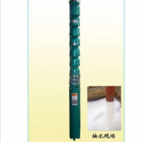 wq潛水泵，石家莊潛水泵價(jià)格