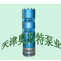 天津井用潛水泵