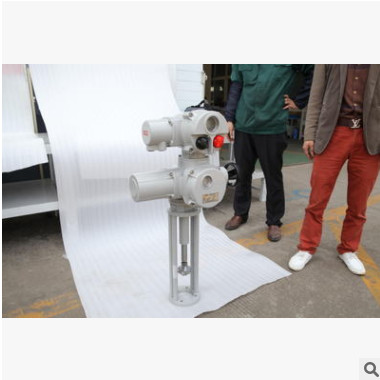 揚(yáng)州羅托克直行程電動(dòng)執(zhí)行器