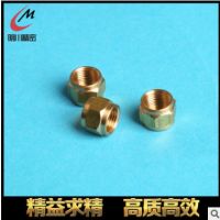 廠家批發(fā)非標不銹鋼螺母 碳鋼鎖緊螺母加工定制內(nèi)六角螺母銅螺母