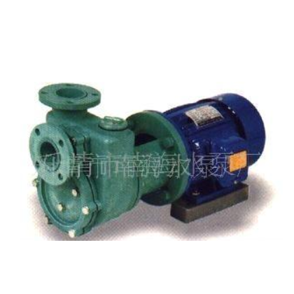 供應塑料自吸泵,耐堿泵,海水泵,塑料泵,塑料化工泵 提升泵(圖)