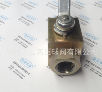 YJZQ內(nèi)螺紋高壓球閥 YJZQ-J25W NPT1” G1” 碳鋼