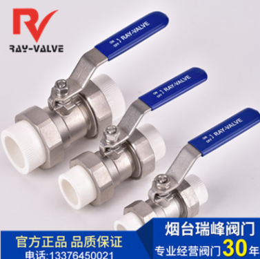 全不銹鋼304不銹鋼PPR雙活接球閥電熱熔焊接閥門熱熔式PPR球閥