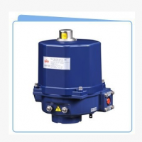 臺灣山野 電動執(zhí)行器 CM300電動執(zhí)行器