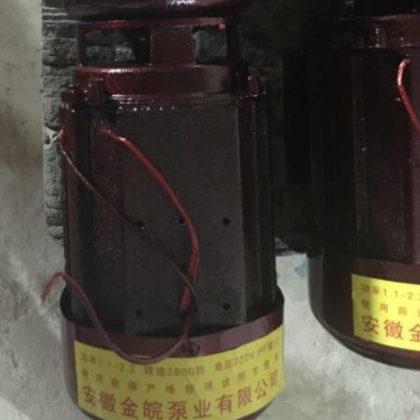 金皖泵業(yè) 防凍裂水泵