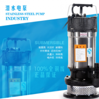 大明不銹鋼QDX潛水電泵 防腐蝕潛水泵 園林抽水機 農(nóng)用灌溉清水泵