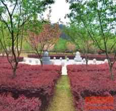 八疊山生命公園墓地價(jià)格-武漢殯葬公共平臺(tái)