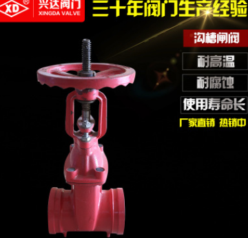 興達(dá)閥門(mén)批發(fā)軟密封型溝槽式卡箍閘閥RRGX明桿不銹鋼閥門(mén)Z81X-16Q