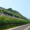 山東邊坡綠化無紡布廠家價格|聚福源包裝