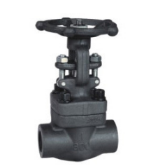 安徽閥門 Z11H-16C鋼制內(nèi)螺紋楔式閘閥 安徽富日閥門