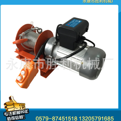 廠家供應(yīng) 純銅芯 汽車提升機(jī) 遙控家用小吊機(jī)多功能提升機(jī)