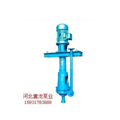 廠家供應2PNL立式泥漿泵 單吸式混流泵電動驅動雜質泵污水泵產(chǎn)品