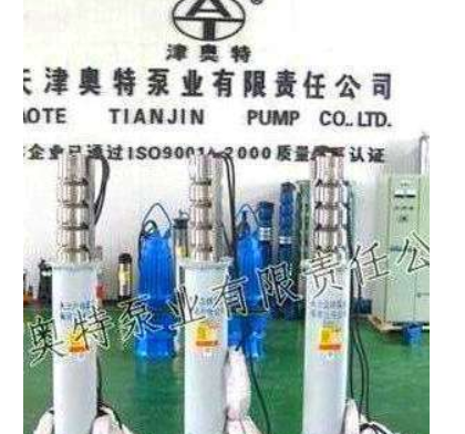 供應海水潛水泵