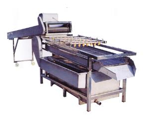 果脯表皮去糖清洗機制造商|吉大機械設(shè)備