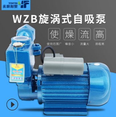 上海永帆 自吸泵家用小型臥式水泵 抽水泵高揚(yáng)程220VWZB 廠家直銷