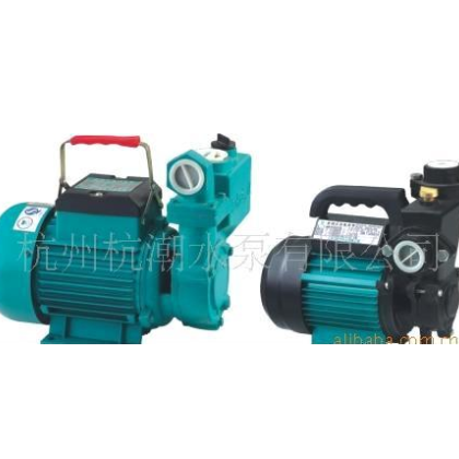 供應(yīng)優(yōu)質(zhì)新界1AWZB125(A)全自動冷熱水旋渦自吸電泵