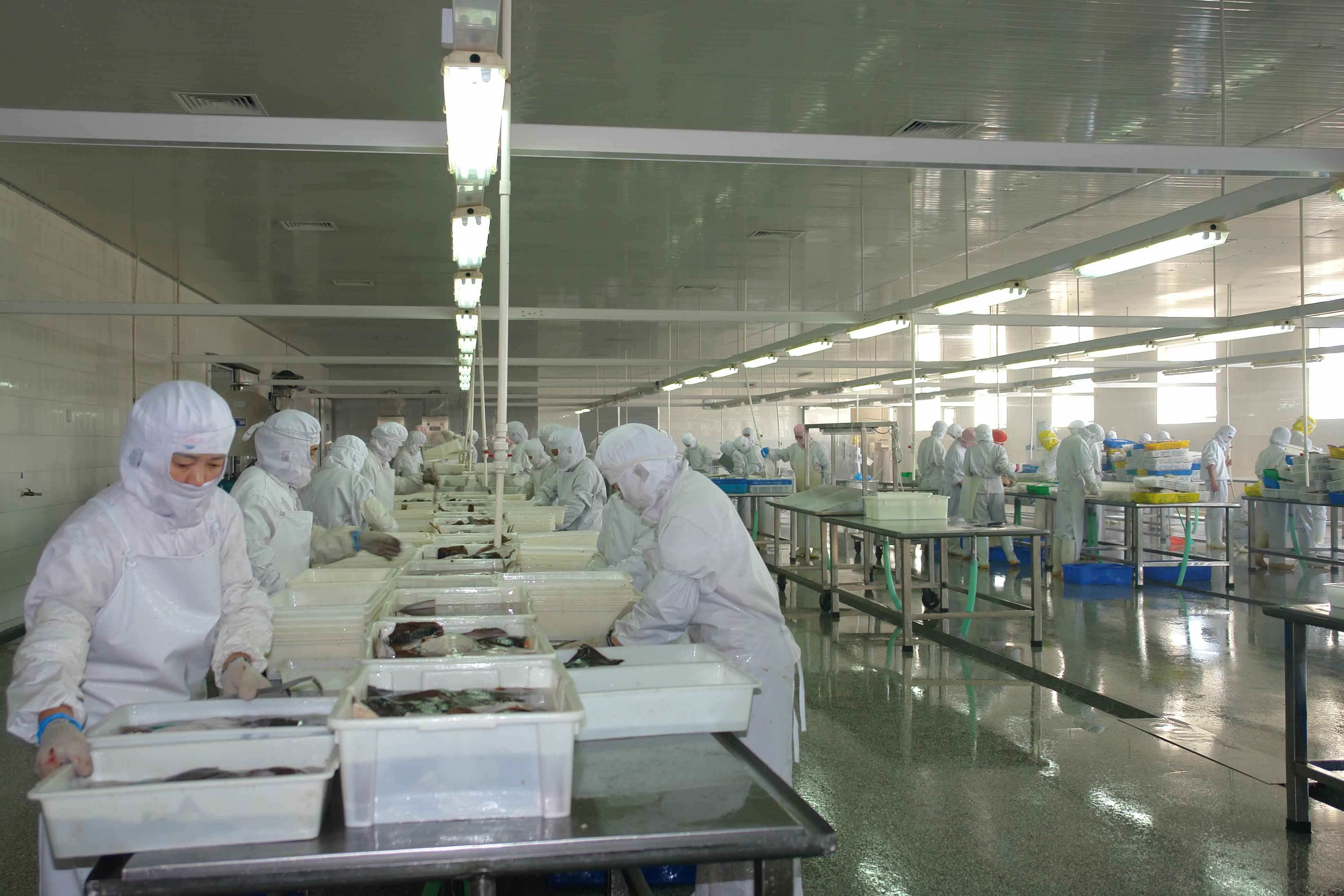 石家莊食品車間凈化哪家好|河北百奧凈化設備安裝工程