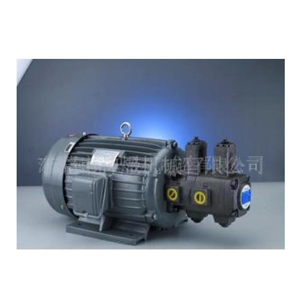 供應(yīng)原裝SHENYU油泵專用電機(jī)泵組