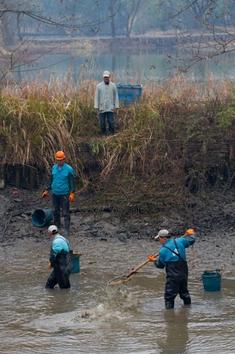 西安池塘清淤丨鴻順環(huán)保