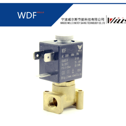 WELLS 廠家直銷 小型 黃銅電磁閥 二通兩通常閉 咖啡機用 可混批