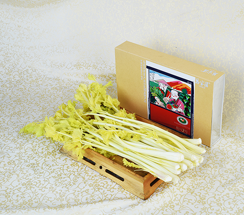 山東平度馬家溝芹菜批發(fā)/青島馬家溝生態(tài)農(nóng)業(yè)