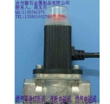 燃?xì)怆姶砰y、燃?xì)馇袛嚅y