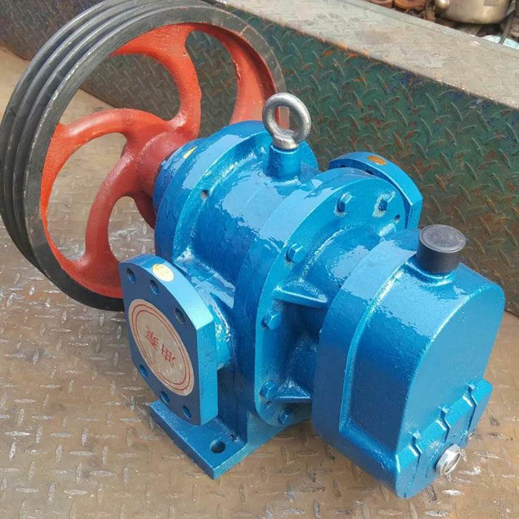 羅茨泵/恒燁工業(yè)泵