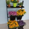 許昌鮮花展示架/青島筆尖創(chuàng)意設(shè)計(jì)