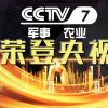 1年央視廣告費(fèi)用/中視易佰（北京）
