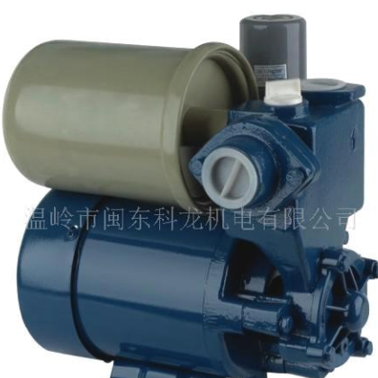 供應(yīng)PS130泵(圖)