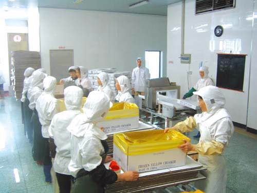 馬來(lái)西亞出國(guó)勞務(wù)-速達(dá)-沙特出國(guó)勞務(wù)