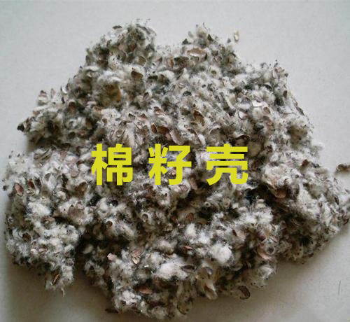 青島棉籽殼進(jìn)口報(bào)關(guān)代理公司|鑫潤(rùn)豐物流