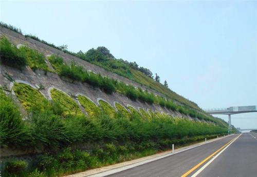 山東邊坡綠化無紡布廠家哪家好|聚福源包裝