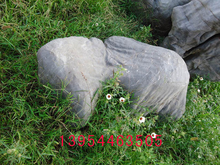 費(fèi)縣風(fēng)景石廠家/臨沂市禾鼎園林技術(shù)有限公司