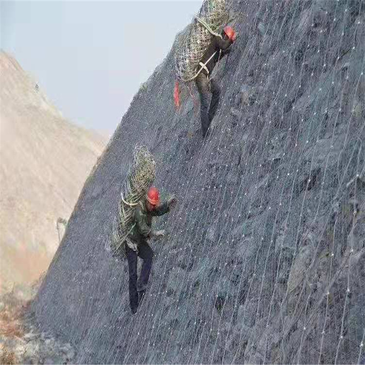 邊坡防護(hù)環(huán)形網(wǎng)A周村邊坡防護(hù)網(wǎng)環(huán)形網(wǎng)帶施工廠家