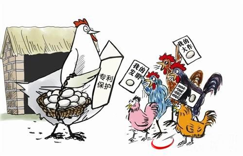 北京科家專利復(fù)審/北京科家知識(shí)產(chǎn)權(quán)