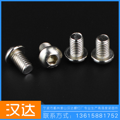 廠家直銷 半圓形內(nèi)六角螺絲 大量供應(yīng)