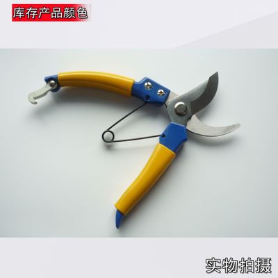 廠家直銷果枝剪園林剪刀花藝剪刀進(jìn)口POM剪園藝五金工具樹枝剪