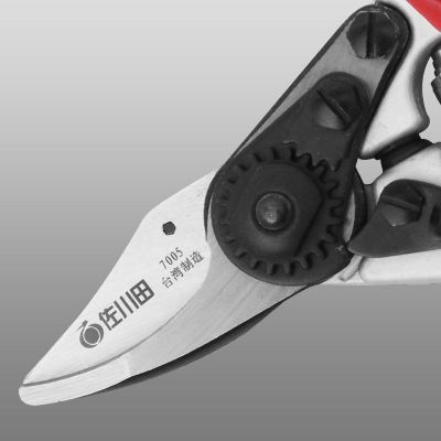 臺灣佐川田7005 果枝剪修枝 果樹剪 剪枝剪園藝剪刀 亞馬遜爆款