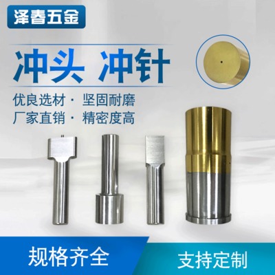 【沖頭沖針】批發(fā)緊密模具標(biāo)準(zhǔn)件沖頭沖針定制軸向型沖頭沖針供應(yīng)