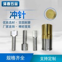 【沖頭】生產(chǎn)高硬度緊密模具配件沖頭批發(fā)軸向型鎢鋼非標(biāo)沖頭定做