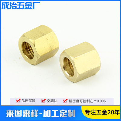 供應(yīng)電子執(zhí)行器六角銅螺母 醫(yī)療工業(yè)用品 黃銅鑲嵌非標(biāo)六角螺母