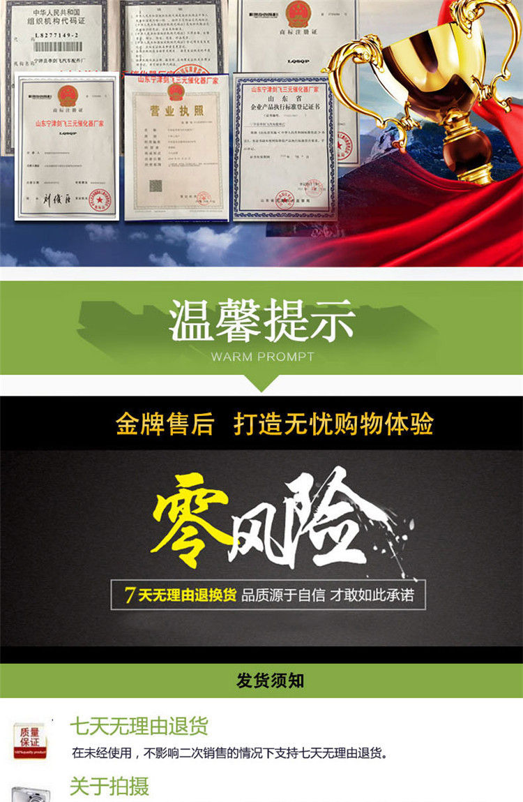 汽車三元催化器_08