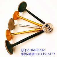 廠家現(xiàn)貨供應(yīng)生產(chǎn)各種進排氣門適用康明斯QSK195 51*11*203