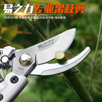 批發(fā)果枝剪 修枝剪 園林剪刀 多功能樹(shù)枝剪子 家用省力剪