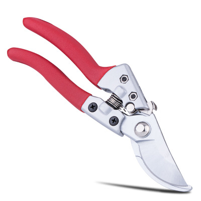 專業(yè)園林園藝剪刀園丁剪花枝修剪樹(shù)枝剪刀果枝剪修花剪刀修枝剪刀