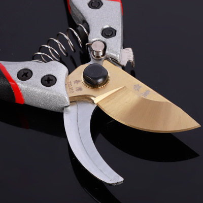 廠家貨源果枝剪果樹(shù)剪枝省力修枝剪園林工具省力果枝剪園藝修枝剪