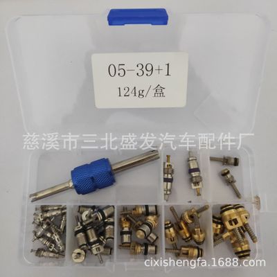 汽車空調(diào)氣門芯組合 套裝 134a空調(diào)配件 空調(diào)氣門芯套件